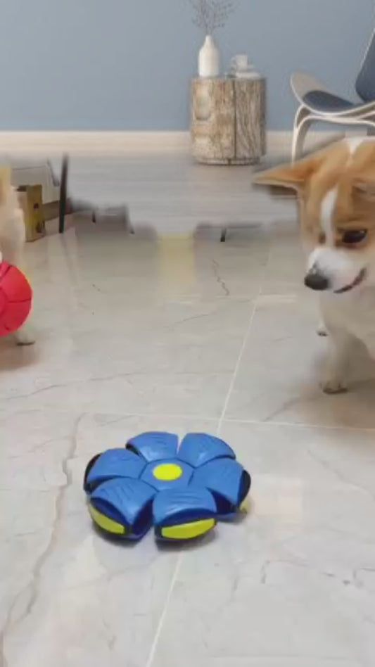 Magic Flying Disc Flying Saucer Ball